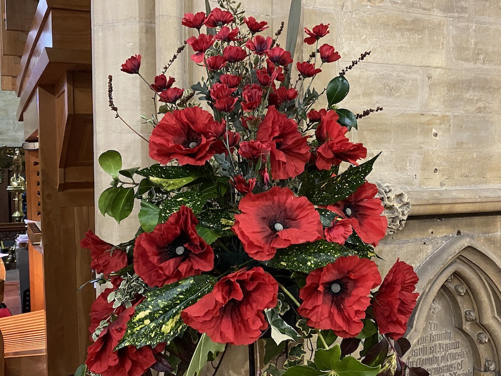 Poppies Poppies